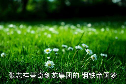 張志祥蒂奇劍龍集團的 鋼鐵帝國夢