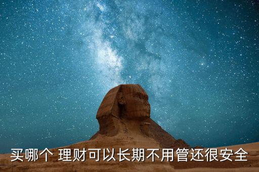 買哪個 理財可以長期不用管還很安全