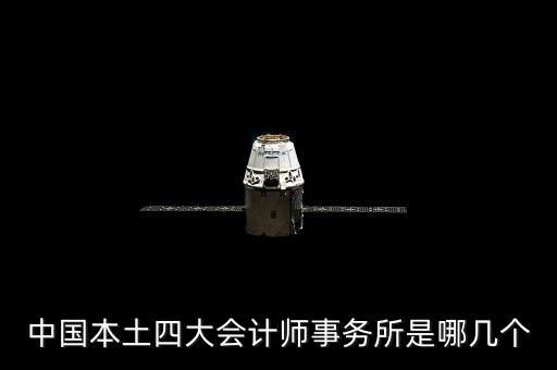 中國本土四大會計師事務(wù)所是哪幾個