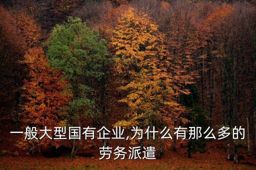 一般大型國有企業(yè),為什么有那么多的勞務派遣