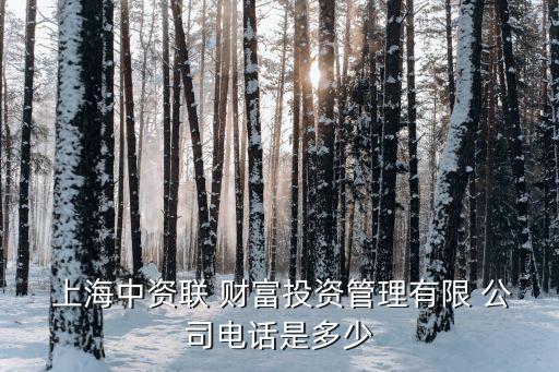 上海一財富公司,上海財富公司專做城投定融