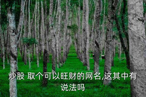 炒股 取個(gè)可以旺財(cái)?shù)木W(wǎng)名,這其中有說(shuō)法嗎