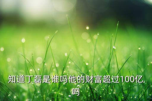 知道丁磊是誰(shuí)嗎他的財(cái)富超過100億嗎