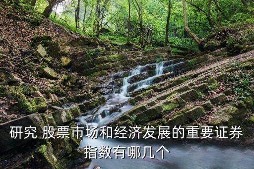 研究 股票市場和經(jīng)濟(jì)發(fā)展的重要證券指數(shù)有哪幾個