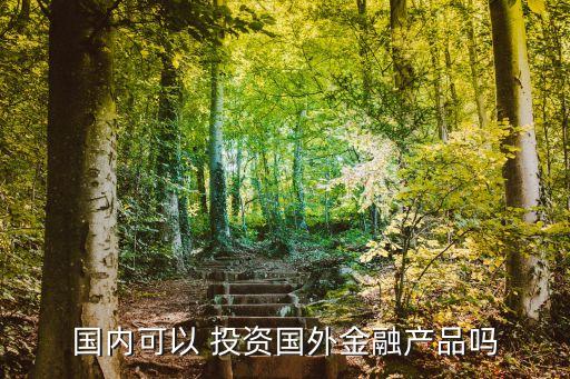 國(guó)內(nèi)可以 投資國(guó)外金融產(chǎn)品嗎