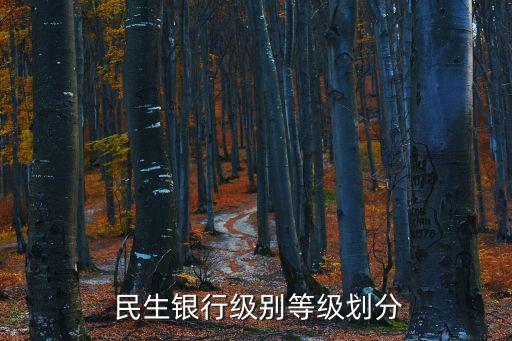  民生銀行級(jí)別等級(jí)劃分