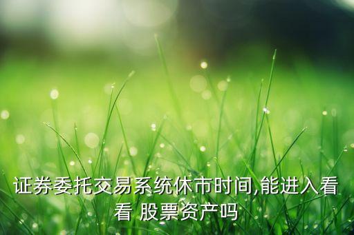 證券委托交易系統(tǒng)休市時間,能進入看看 股票資產嗎