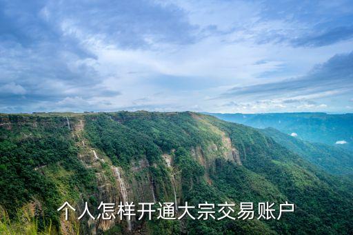 個(gè)人怎樣開(kāi)通大宗交易賬戶