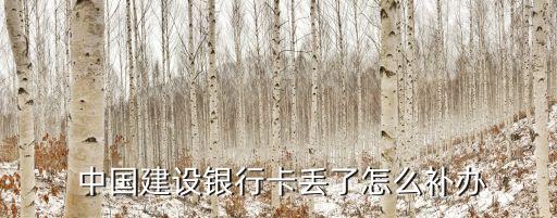 中國(guó)建設(shè)銀行信用卡掛失電話