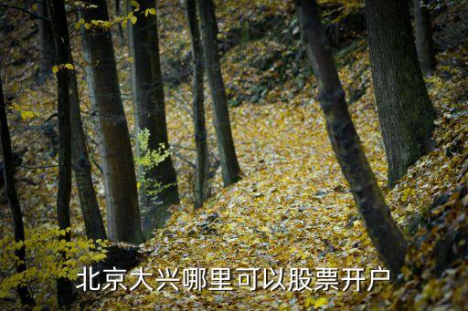 北京大興哪里可以股票開(kāi)戶