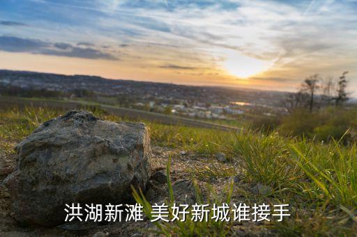 美好置業(yè)集團