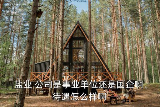  鹽業(yè) 公司是事業(yè)單位還是國企啊、待遇怎么樣啊