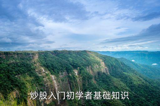 在股票買賣過程中,股票買賣過程中手續(xù)費(fèi)不包括什么