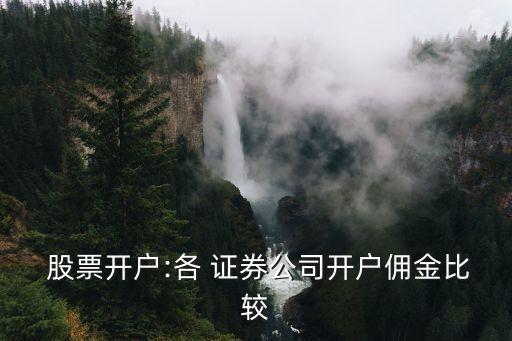  股票開(kāi)戶:各 證券公司開(kāi)戶傭金比較