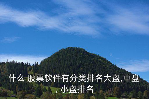 什么 股票軟件有分類排名大盤(pán),中盤(pán), 小盤(pán)排名