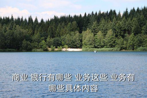 商業(yè) 銀行有哪些 業(yè)務這些 業(yè)務有哪些具體內容