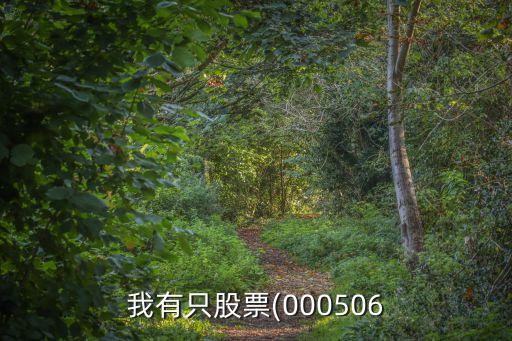 北京中潤(rùn)置業(yè),北京潤(rùn)置業(yè)有限公司