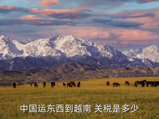 中國運東西到越南 關(guān)稅是多少