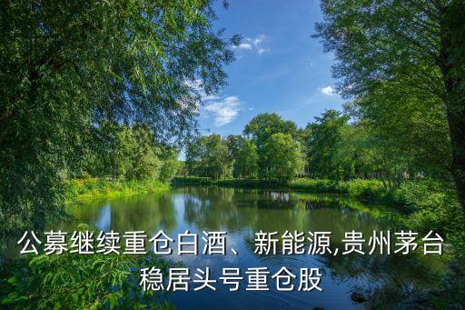 公募繼續(xù)重倉白酒、新能源,貴州茅臺穩(wěn)居頭號重倉股