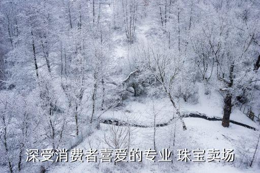 深受消費(fèi)者喜愛(ài)的專(zhuān)業(yè) 珠寶賣(mài)場(chǎng)