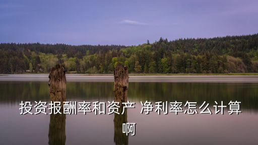  投資報酬率和資產 凈利率怎么計算啊