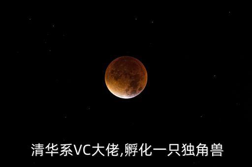  清華系VC大佬,孵化一只獨(dú)角獸