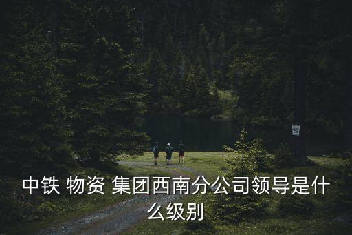 中鐵 物資 集團西南分公司領導是什么級別