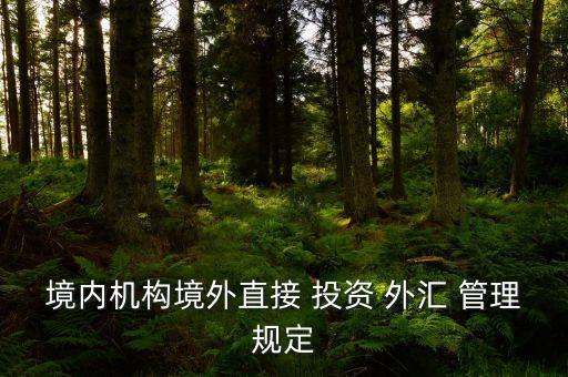 境內機構境外直接 投資 外匯 管理規(guī)定