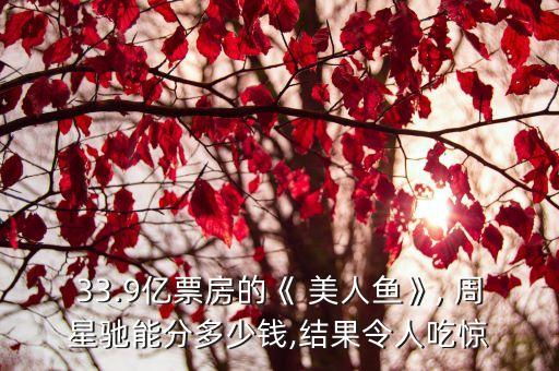33.9億票房的《 美人魚(yú)》, 周星馳能分多少錢(qián),結(jié)果令人吃驚