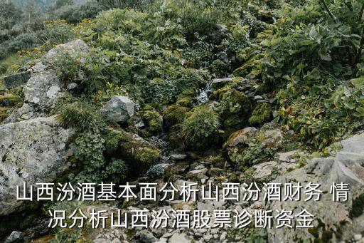 山西汾酒基本面分析山西汾酒財務 情況分析山西汾酒股票診斷資金