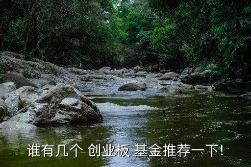 做空創(chuàng)業(yè)板的基金,創(chuàng)業(yè)板指數可以做空嗎