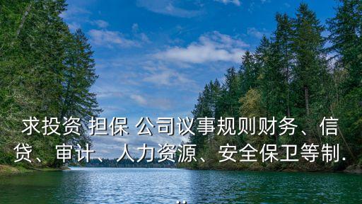 求投資 擔保 公司議事規(guī)則財務、信貸、審計、人力資源、安全保衛(wèi)等制...