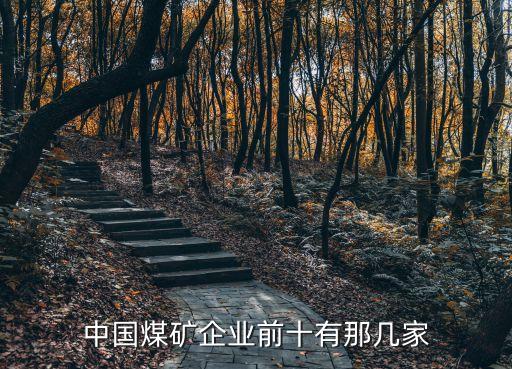 中國(guó)煤礦企業(yè)前十有那幾家