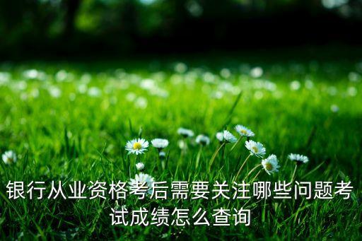 銀行業(yè)關(guān)注類,當前銀行業(yè)需要關(guān)注的問題