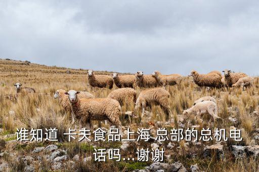 誰(shuí)知道 卡夫食品上海 總部的總機(jī)電話嗎...謝謝