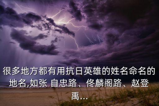 很多地方都有用抗日英雄的姓名命名的地名,如張 自忠路、佟麟閣路、趙登禹...