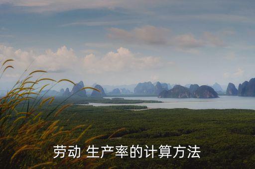 勞動 生產(chǎn)率的計(jì)算方法