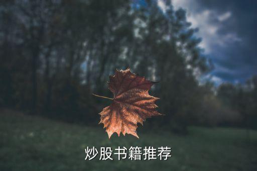 炒股書(shū)籍推薦