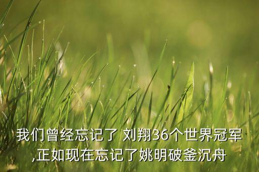 海康集團劉翔,中國交通集團 劉翔