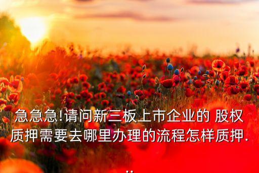 急急急!請(qǐng)問新三板上市企業(yè)的 股權(quán)質(zhì)押需要去哪里辦理的流程怎樣質(zhì)押...