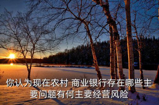 你認為現(xiàn)在農(nóng)村 商業(yè)銀行存在哪些主要問題有何主要經(jīng)營風險