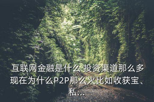  互聯(lián)網(wǎng)金融是什么 投資渠道那么多現(xiàn)在為什么P2P那么火比如收獲寶、私...