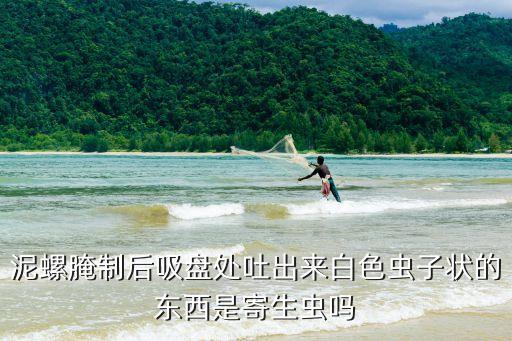 泥螺腌制后吸盤(pán)處吐出來(lái)白色蟲(chóng)子狀的東西是寄生蟲(chóng)嗎