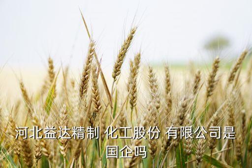 河北益達(dá)精制 化工股份 有限公司是國(guó)企嗎