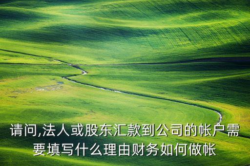 請(qǐng)問(wèn),法人或股東匯款到公司的帳戶(hù)需要填寫(xiě)什么理由財(cái)務(wù)如何做帳