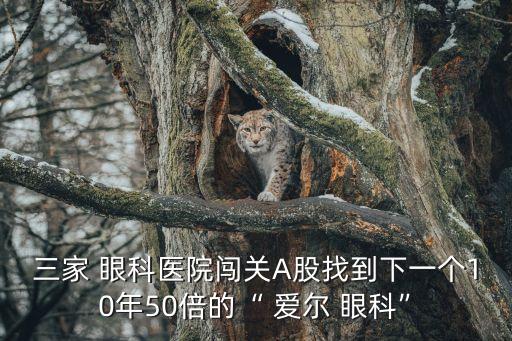 三家 眼科醫(yī)院闖關(guān)A股找到下一個(gè)10年50倍的“ 愛(ài)爾 眼科”