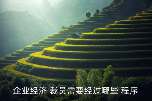 企業(yè)經(jīng)濟(jì) 裁員需要經(jīng)過(guò)哪些 程序