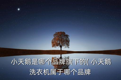 無(wú)錫小天鵝佳科電子有限公司,江蘇無(wú)錫小天鵝洗衣機(jī)有限公司