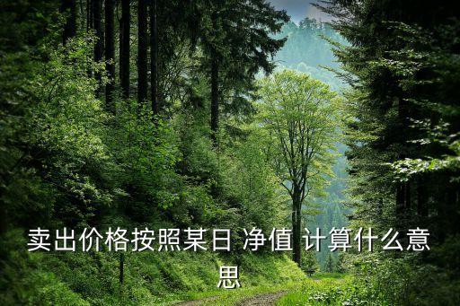 賣出價格按照某日 凈值 計算什么意思