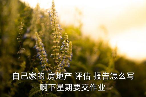 自己家的 房地產(chǎn) 評估 報告怎么寫啊下星期要交作業(yè)